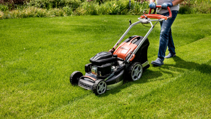 כך תהפכו את הגינה לפינה הנחשקת ביותר בביתכם