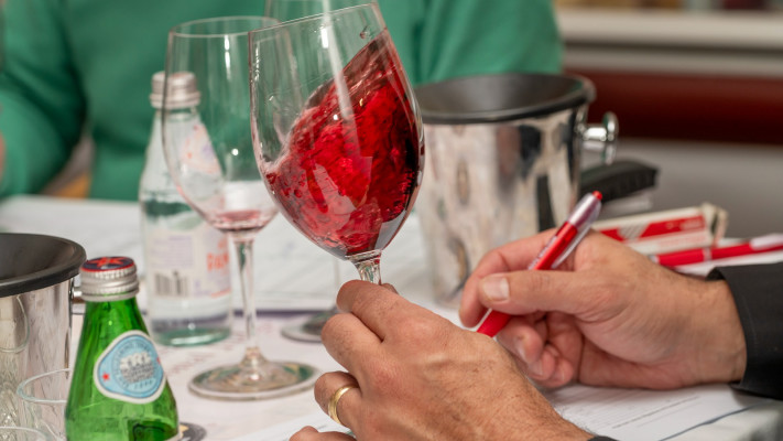 טרה וינו 2024 