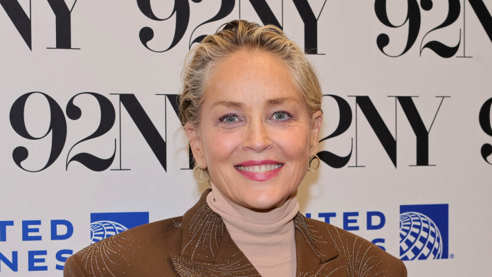 שרון סטון (צילום: Theo Wargo  Getty Images)