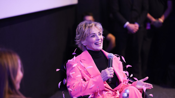 שרון סטון (צילום:  Tim P. Whitby / Stringer gettyimages)