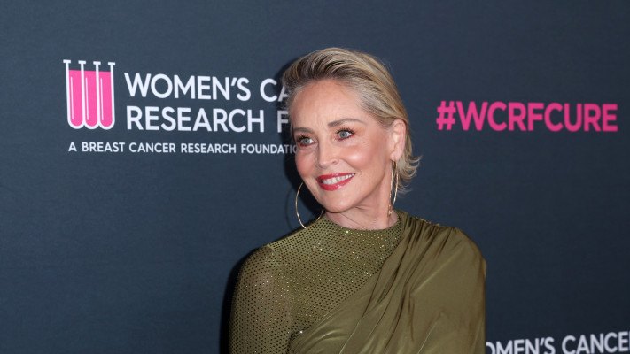 שרון סטון (צילום:  Phillip Faraone  Getty Images)