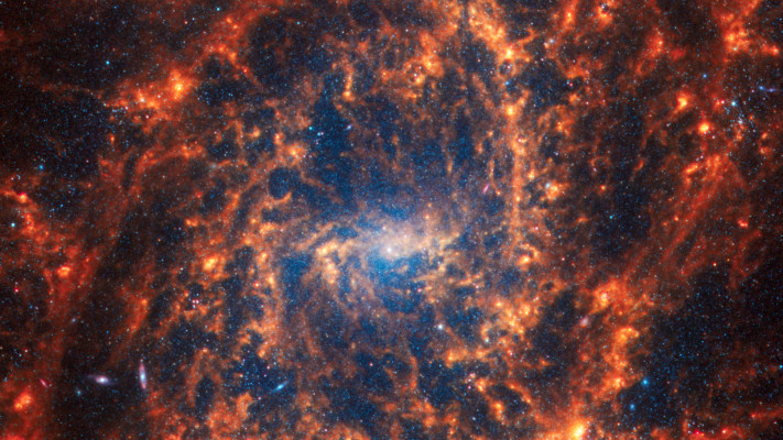 אחת הגלקסיות שצולמו על ידי טלסקופ החלל ג'יימס ווב (צילום: רויטרס)