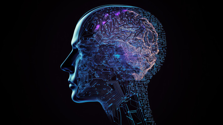 נוירולוגיה, אילוסטרציה