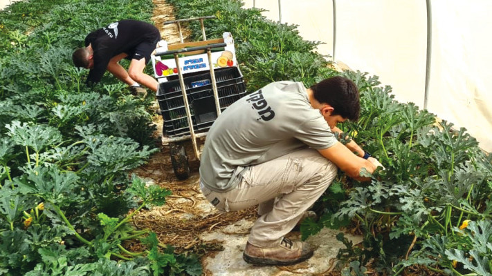 תלמידי שכבת ט' בתיכון שייטים דרכא בערבה התיכונה 