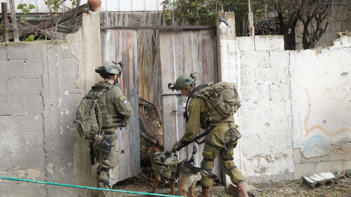 חופש פעולה? כוחות צה''ל בעזה