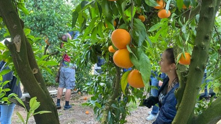 נעים למשק - התנדבות קהילתית למען החקלאות