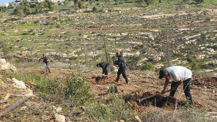 נערכים לקיץ היותר קיצוני (צילום: מאור אלרון, קק''ל)