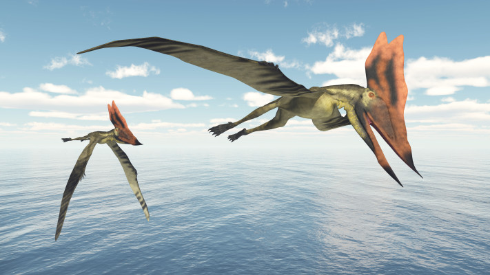 מינים חדשים של פטרוזאורים שחיו לפני כמעט 170 מיליון שנה התגלו בסקוטלנד, הדמייה (צילום: אינג'אימג')