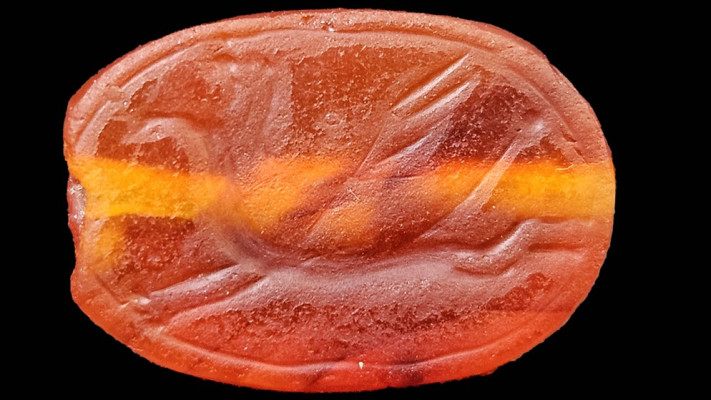 החרפושית (צילום: אנסטסיה שפירו, רשות העתיקות)