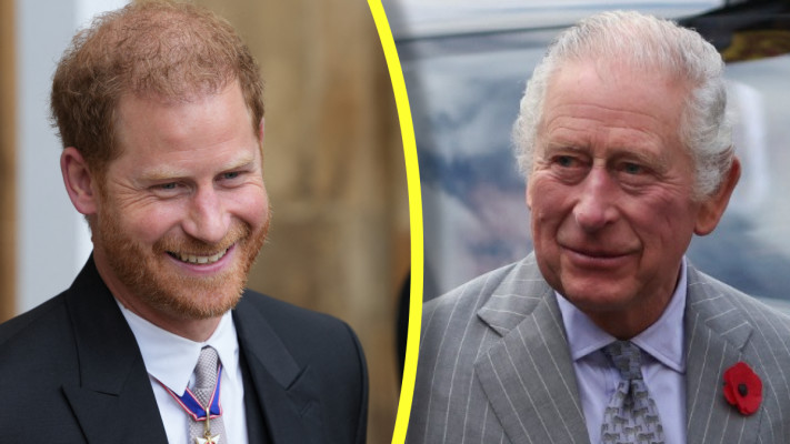 הנסיך הארי, המלך צ'ארלס השלישי  (צילום:  REUTERS/Russell Cheyne,Dan Charity/Pool via REUTERS)
