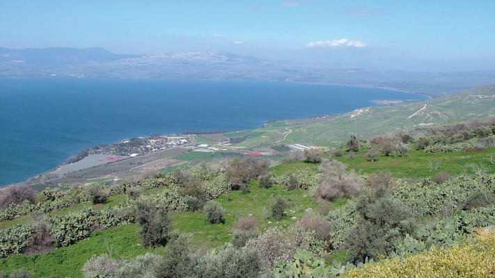 נוף ממצפה מבוא חמה