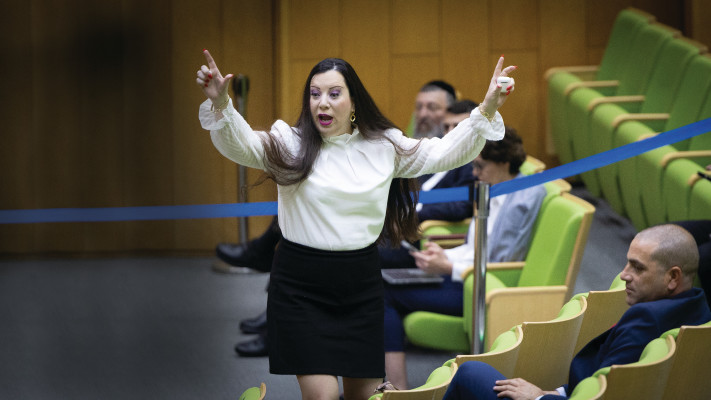 חכ טלי גוטליב בכנסת 