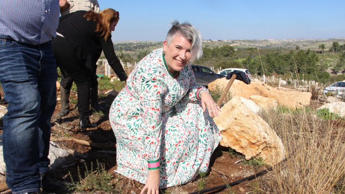 סוניה מק׳גינס