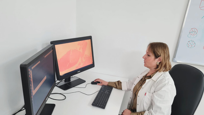 פרופ' איריס ברשק