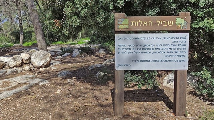שביל האלות בפארק בריטניה