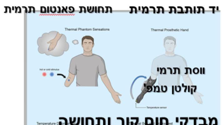 יכולות היד הביונית