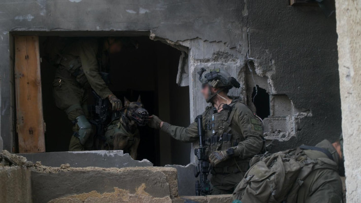 כוחות צה''ל בעזה - מלחמת חרבות ברזל