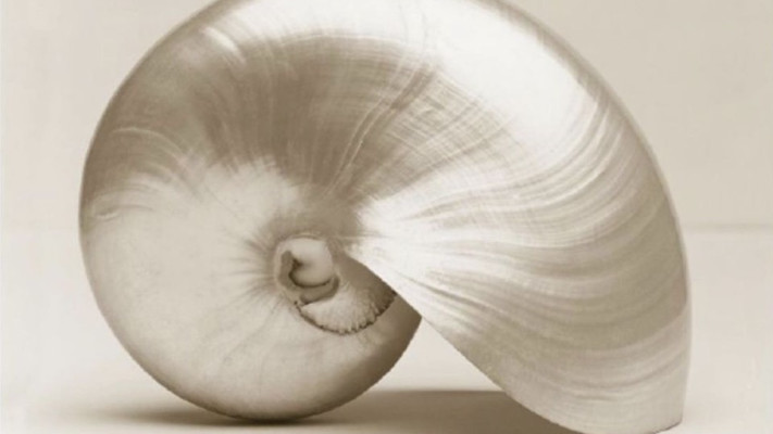 פיסול של בר רפאלי (צילום: צילום מסך מתוך האינסטגרם)