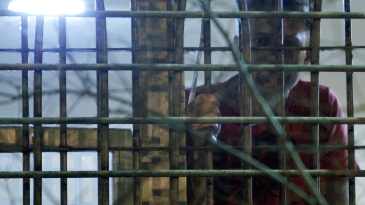 נבלני בכלא (צילום: REUTERS/Anton Golubev)