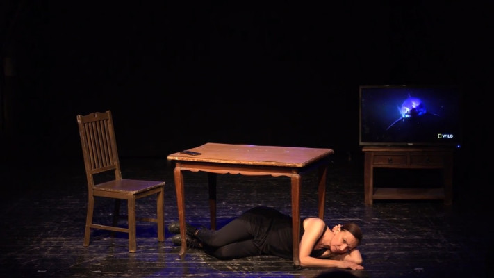 איך להישאר הומניסטית אחרי טבח ב-17 צעדים