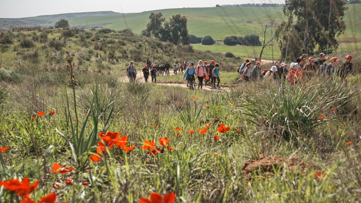 צעדת הכלניות