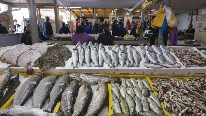 משולבים בדיאטה הים תיכונית ובדיאטה האטלנטית. דגים  (צילום: נתי שוחט, פלאש 90)