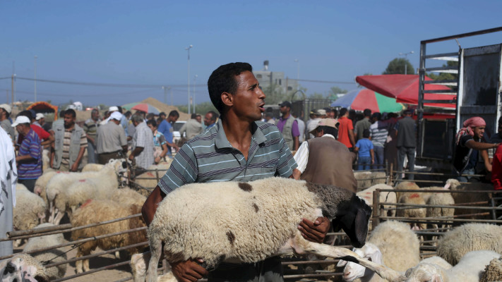 סוחרים בעזה (צילום: REUTERS/Ibraheem Abu Mustafa)