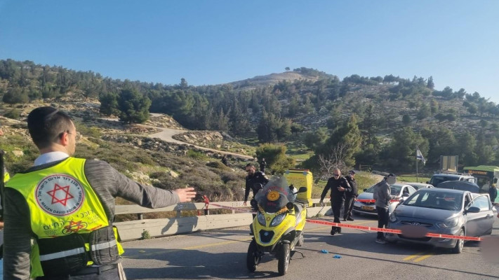 זירת הפיגוע במעלה אדומים (צילום: תיעוד מבצעי מד''א)