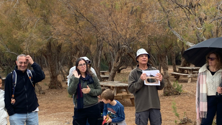 עינות צוקים 