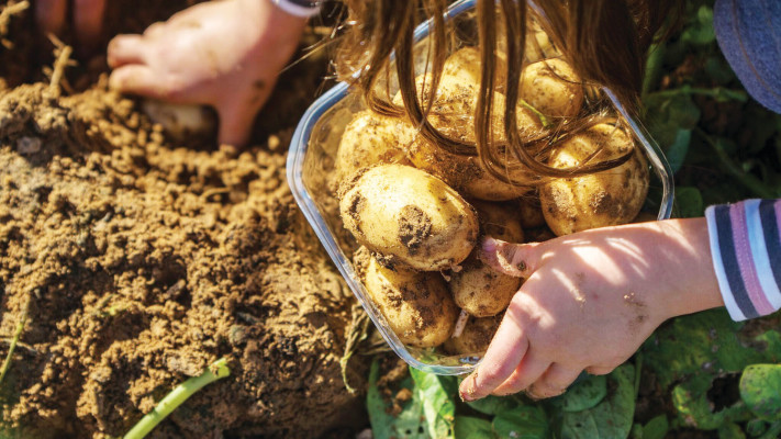 טיול חקלאי ב''שביל הסלט''