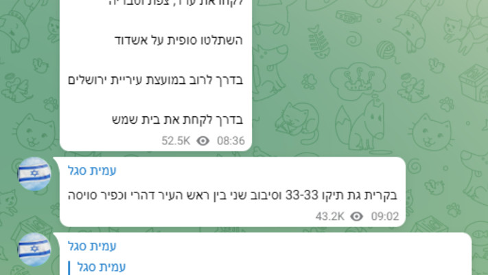 ההתנצלות של עמית סגל