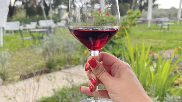 החצר של יקב עגור