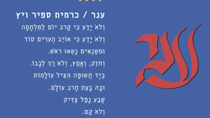 ויטרינה 