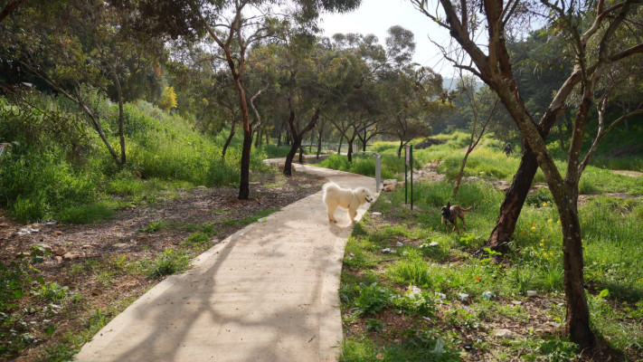 פארק האירוס (צילום: רשות מקרקעי ישראל)