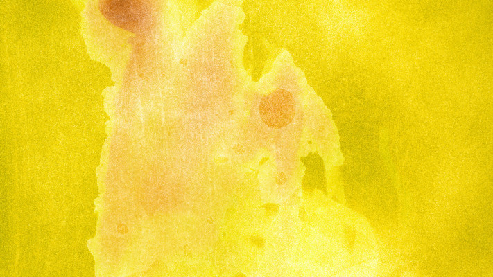 מתוך התערוכה