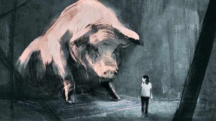 ''מכתב לחזיר''