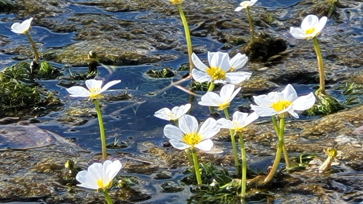 הגן הלאומי תל אפק