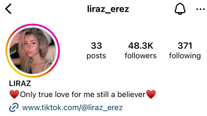 הביו המעודכן של לירז ארז באינסטגרם (צילום: צילום מסך אינסטגרם)