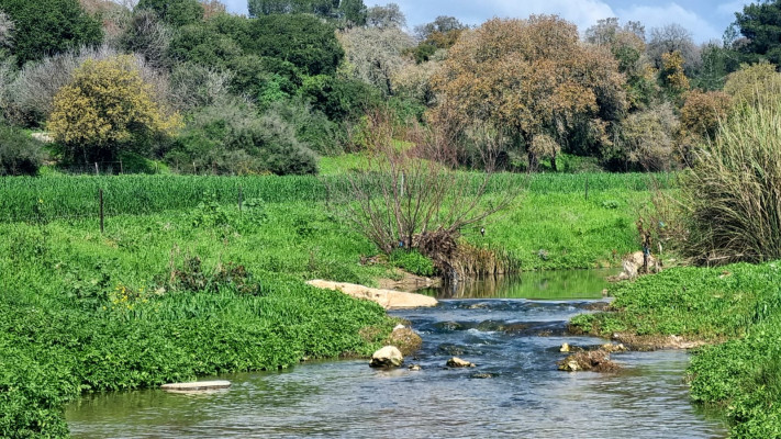 שביל נחל ציפורי