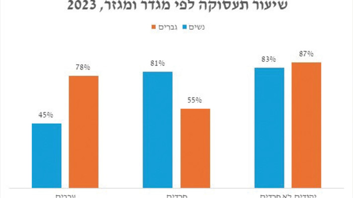 שיעור תעסוקה לפי מגדר ומגזר (צילום: מעריב אונליין)