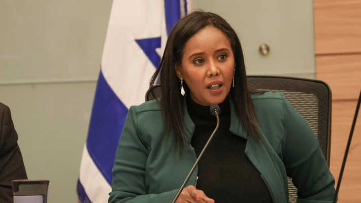 פנינה טמנו שטה (צילום: דני שם טוב, דוברות הכנסת)