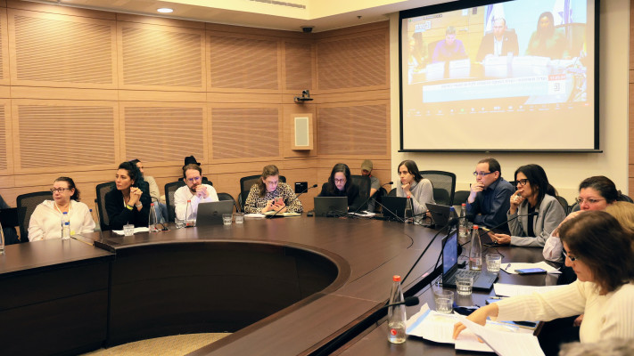 ועדת החוקה והוועדה לקידום מעמד האישה (צילום: דני שם טוב, דוברות הכנסת)