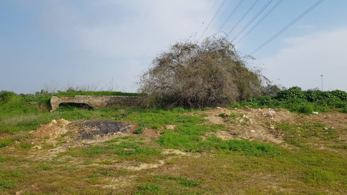 פארק אריאל שרון