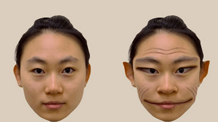 פרוסומטמורפופסיה