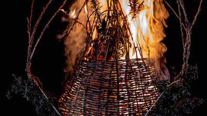 ביצות זרעים - שחר קדם