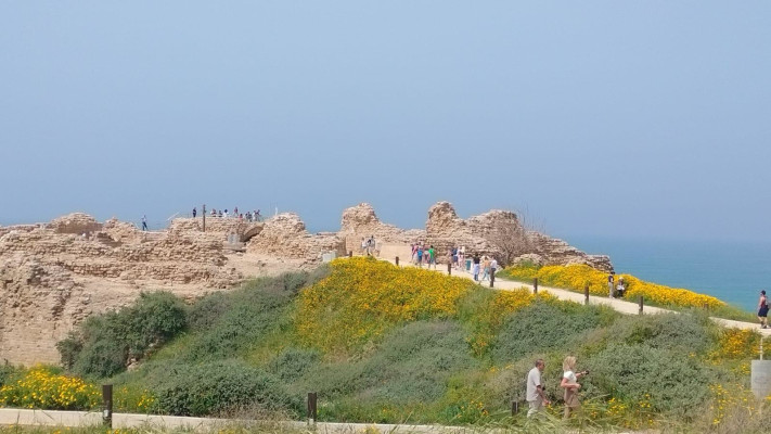 הגן הלאומי אפולוניה 
