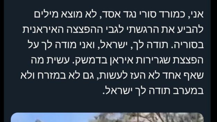 ציוץ המורד הסורי (צילום: טוויטר)