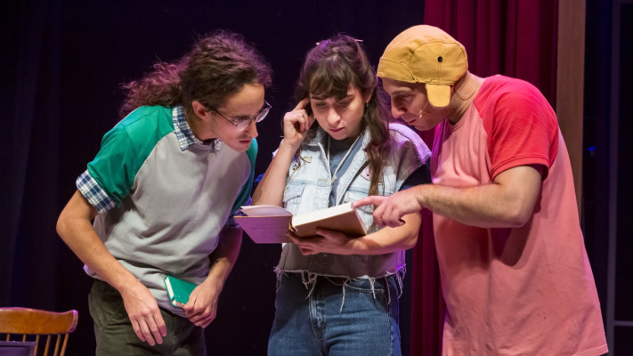 שלושת המוסקטרים. תיאטרון המדיטק