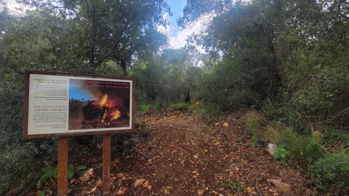 מסלול דרך האש (צילום: ענבר חשמונאי, רשות הטבע והגנים)
