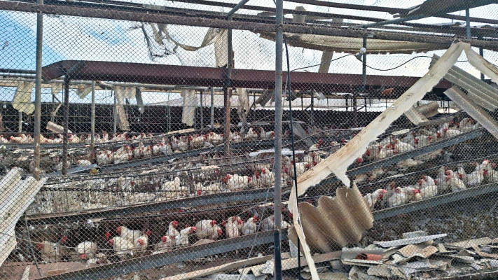 נזקי המלחמה 3